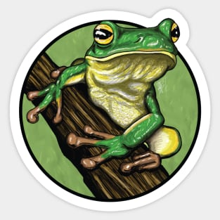 Tree Frog Sticker